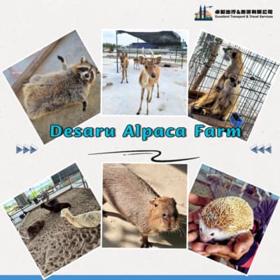 desaru-alpaca-farm